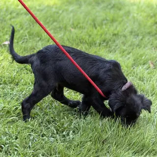 TUCKER