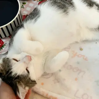 Boo!