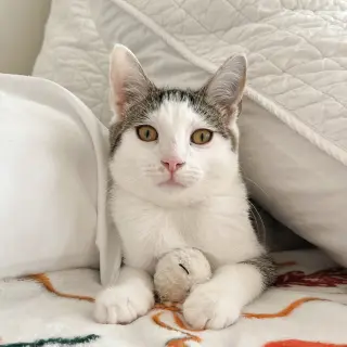 Boo!