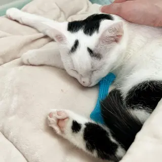 Eek!