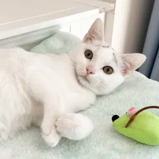 Eek!