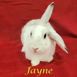 Jayne (bonded to Jolene)