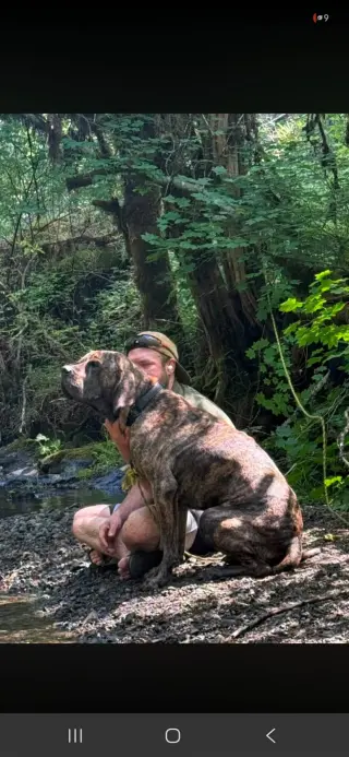 Chief