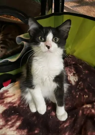 Barnaby =^.^=