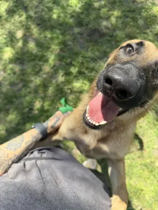 Mimi - Located in FL
