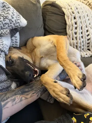 Mimi - Located in FL