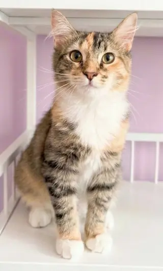 Ella Mae