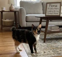 FIONA
