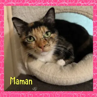 Maman