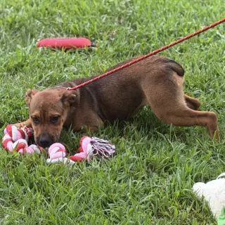 Winifred