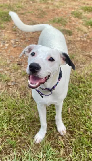 Lena