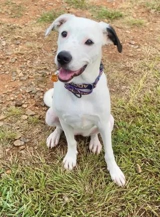 Lena