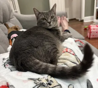 Sacha