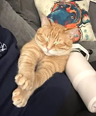 Louie