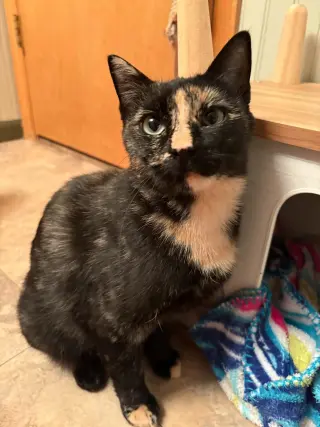 Carla
