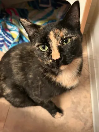 Carla