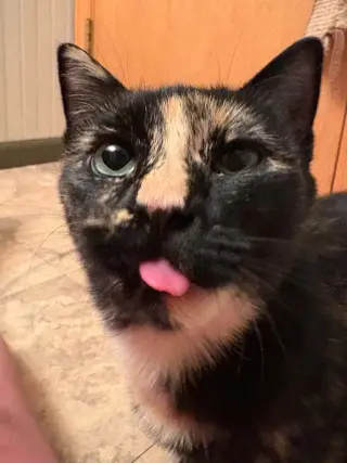 Carla
