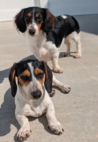 Dolly and Patsy in TN