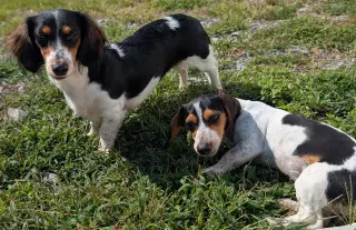 Dolly and Patsy in TN