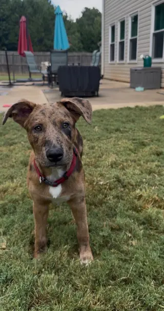 Jax