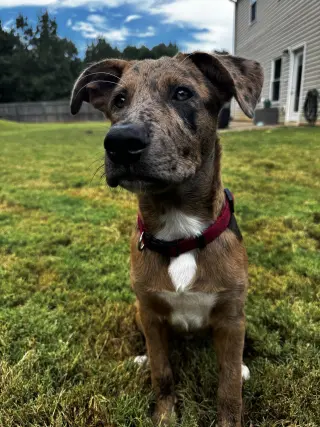 Jax