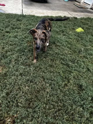 Jax