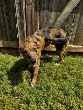 Jax