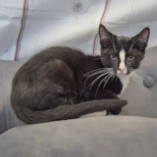 Benny