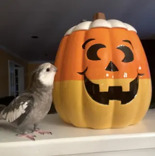 Luno