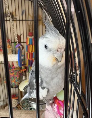 Luno