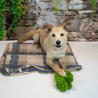 Duke
