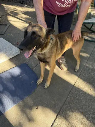 Jett- Located in California