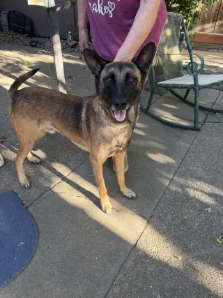 Jett- Located in California