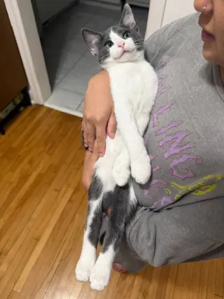 Willy - No Longer Accepting Applications