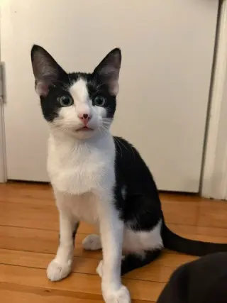 Ruben / Ruby