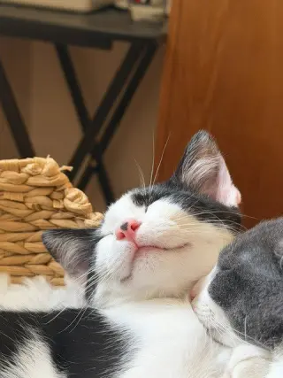 Ruben / Ruby