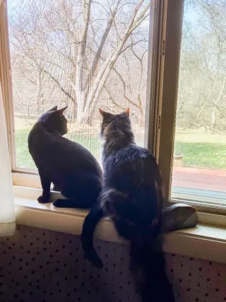 Blackie / Princess