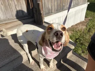 Daisy Jane