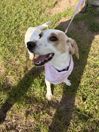 Daisy Jane