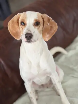 Daisy Jane