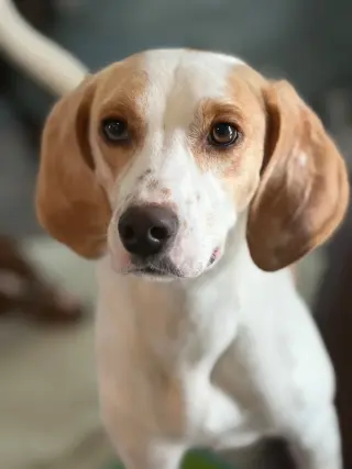 Daisy Jane