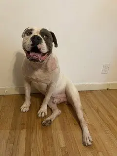 Walter