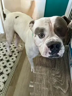 Walter