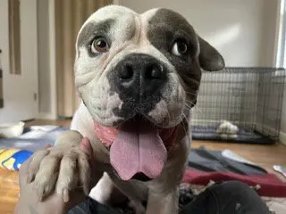 Walter