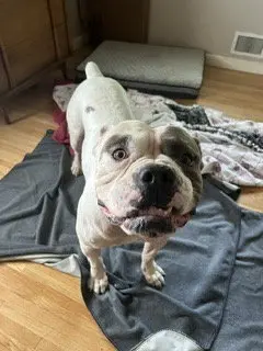 Walter