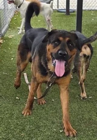 AL