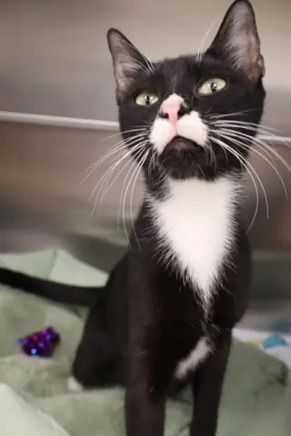 SALEM