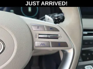 Hyundai PALISADE 2024 AWD Calligraphy 4p SUV