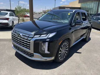 Hyundai PALISADE 2024 AWD Calligraphy 4p SUV