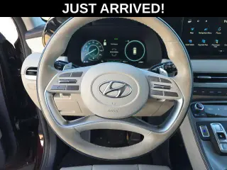 Hyundai PALISADE 2024 Calligraphy 4dr SUV